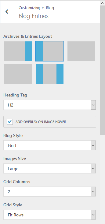 Blog details Customizer settings