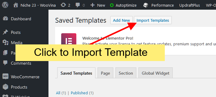 Export and Import Elementor Template