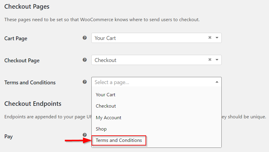 How to Set Up WooCommerce Checkout and Payment Options