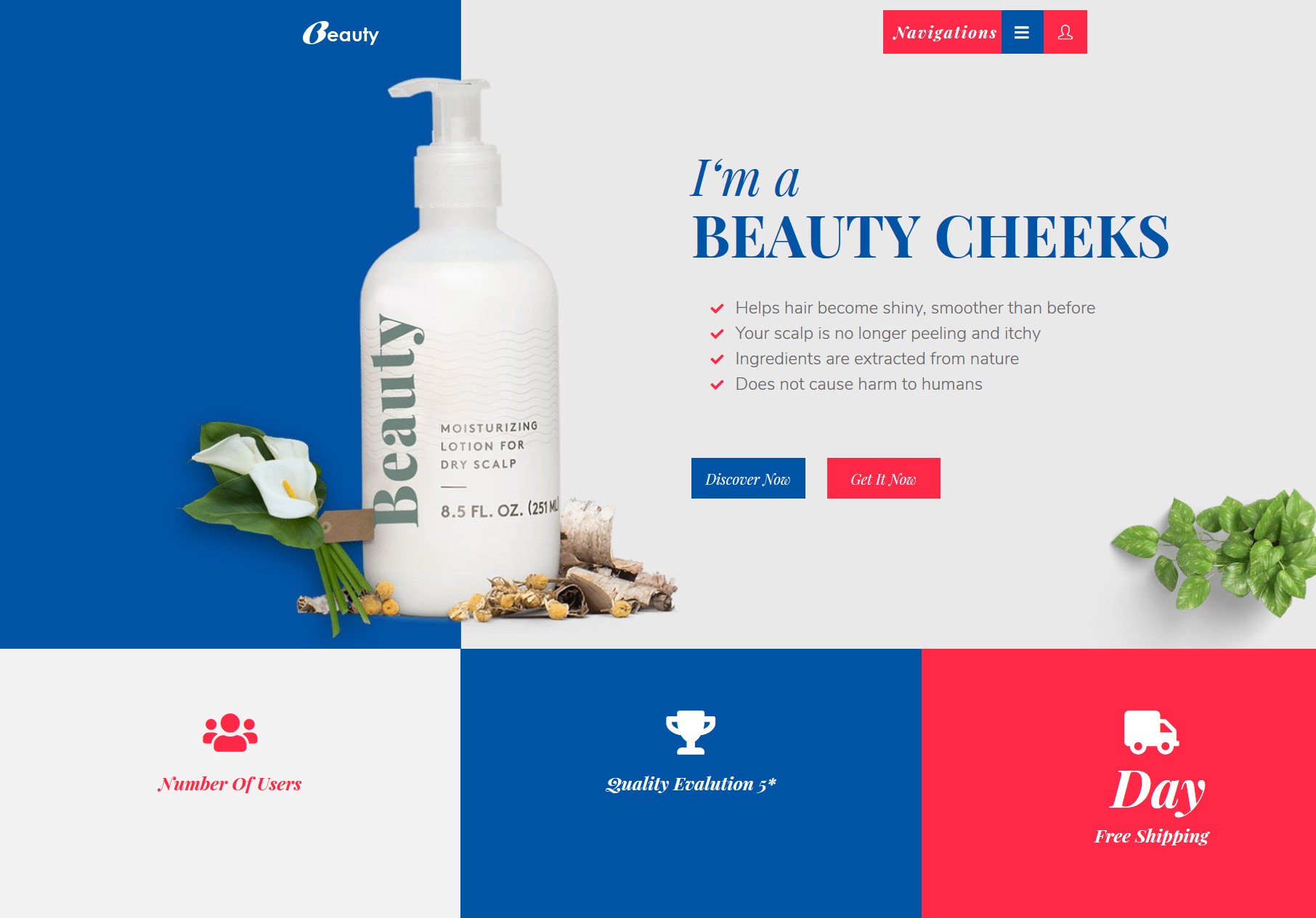 Make your own best-selling website by eye-catching beauty themes for the New Year